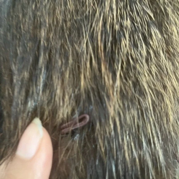 Women’s brown fox fur long coat. Style raincoat - Picture 9 of 10